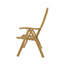 Carina Outdoor Teak Lounge Chair