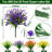 Mixed Arrangement-1433133667