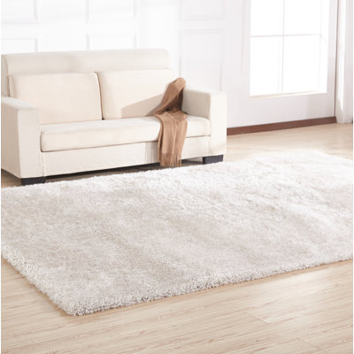 Tapis blanc touffeté à la main Totowa