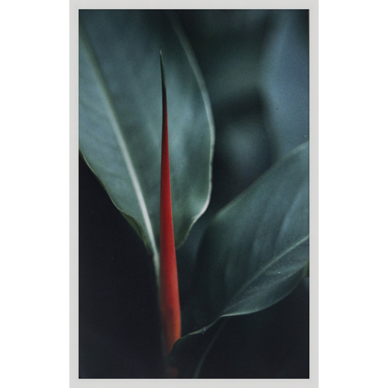 Natural Texture Series 2' Framed Photographic Print on Glass