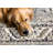 Oriental Indoor Rug-1208116136