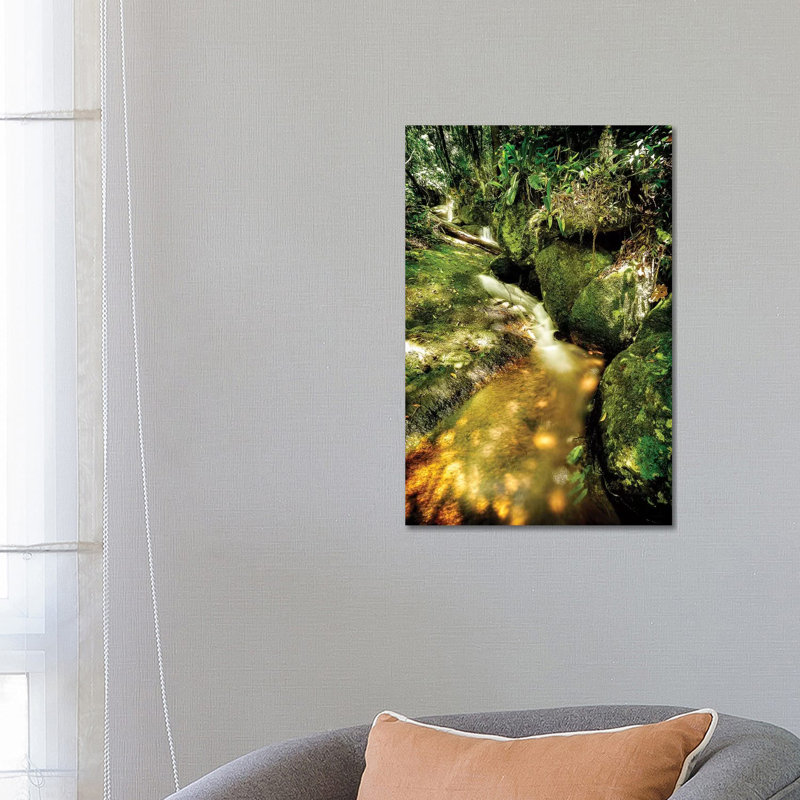 Tropical Forest III by Glauco Meneghelli - Wrapped Canvas Print, 66.04 cm H x 45.72 cm W
