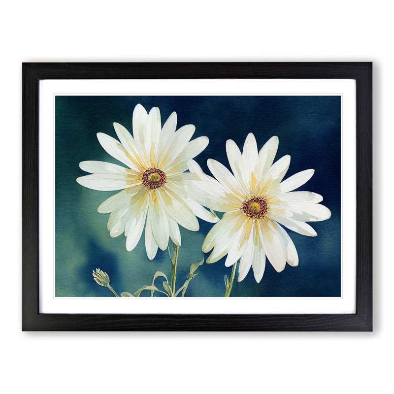 Astounding Watercolour Daisy Flowers - Single Picture Frame Print, Black, 46cm H x 64cm W