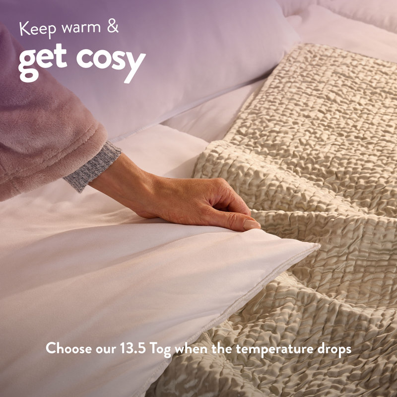 Anti Allergy 13.5 Tog Winter Duvet, Double