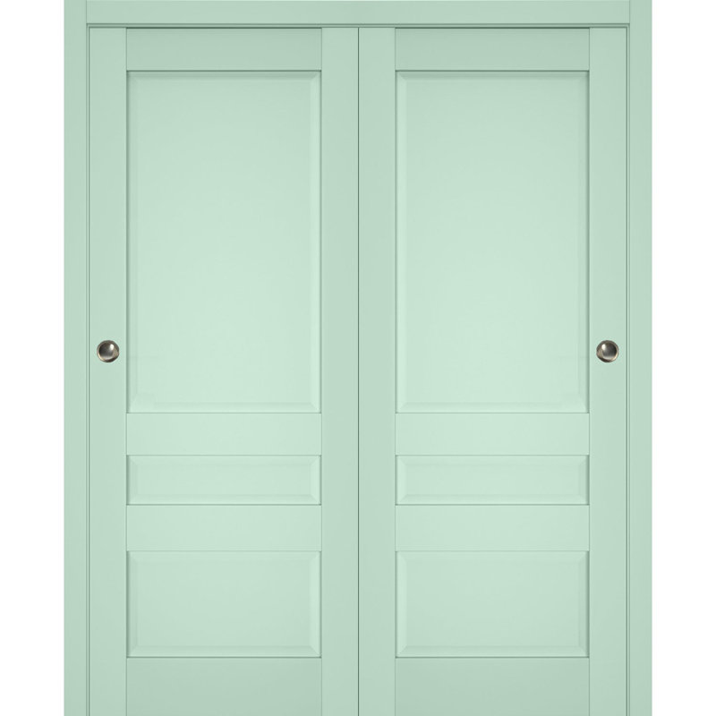 Veregio Panelled Wood Sliding Closet Doors, 48" x 84", Olive