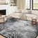 Groner Modern Abstract Carpet Indoor Washable Rug Non-Slip Soft Small Area Rug Thin Print For Home Decor