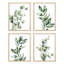 Aquarelle vert pastel, ensemble de 4 décorations murales florales variées encadrées, 4 pièces-93011964-93011966