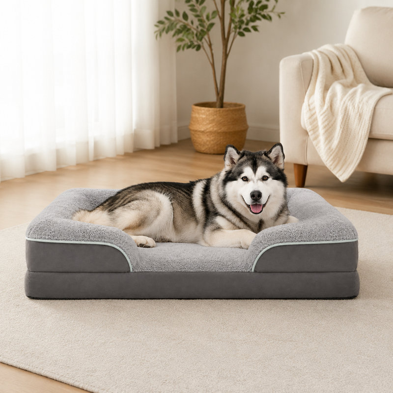 Canapé-lit orthopédique pour chien en mousse à mémoire de forme avec traversin de soutien, housse lavable amovible et support articulaire