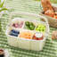 500ml Food Storage Container