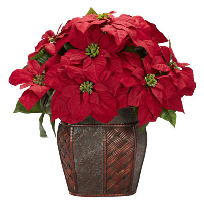 Arrangement floral poinsettia dans un vase