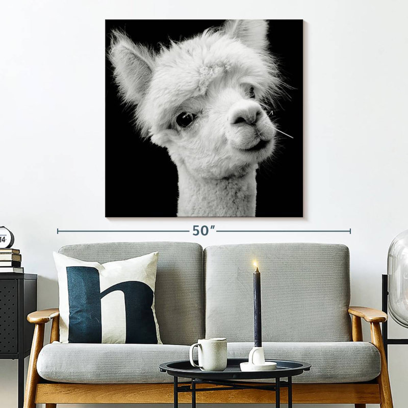 Crowle Monochrome Alpaca Head
