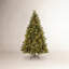 Carolina Flocked/Frosted Christmas Tree-1687330704