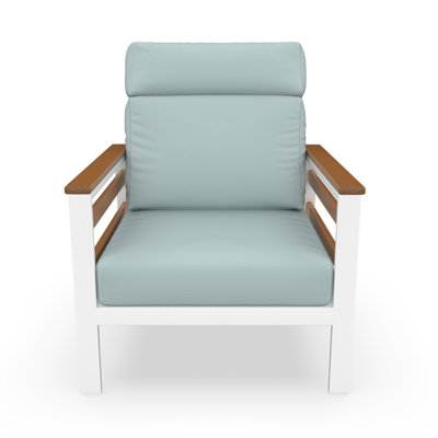 Townsend Metal Outdoor Lounge Club Chair With Sunbrella Cushion by Birch Lane