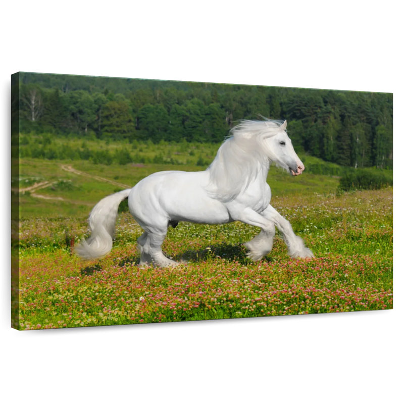 Shire Horse In The Meadow