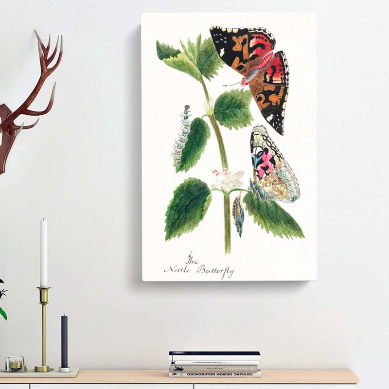 Caterpillars & Butterflies - Wrapped Canvas, 50cm H x 35cm W x 3cm D