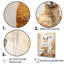 Minimal charmant kangourou sur toile-224248807-224248797