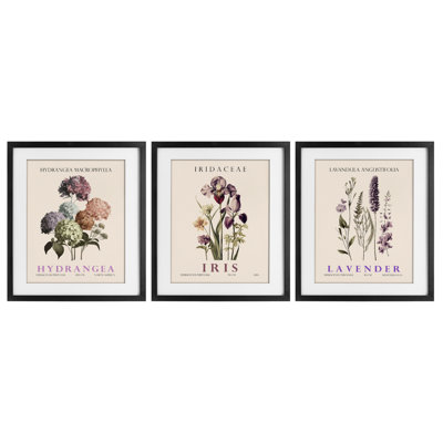 Botanical Bundles & Sprigs, ensemble de 3 reproductions encadrées sous verre, par Christopher Giampietro