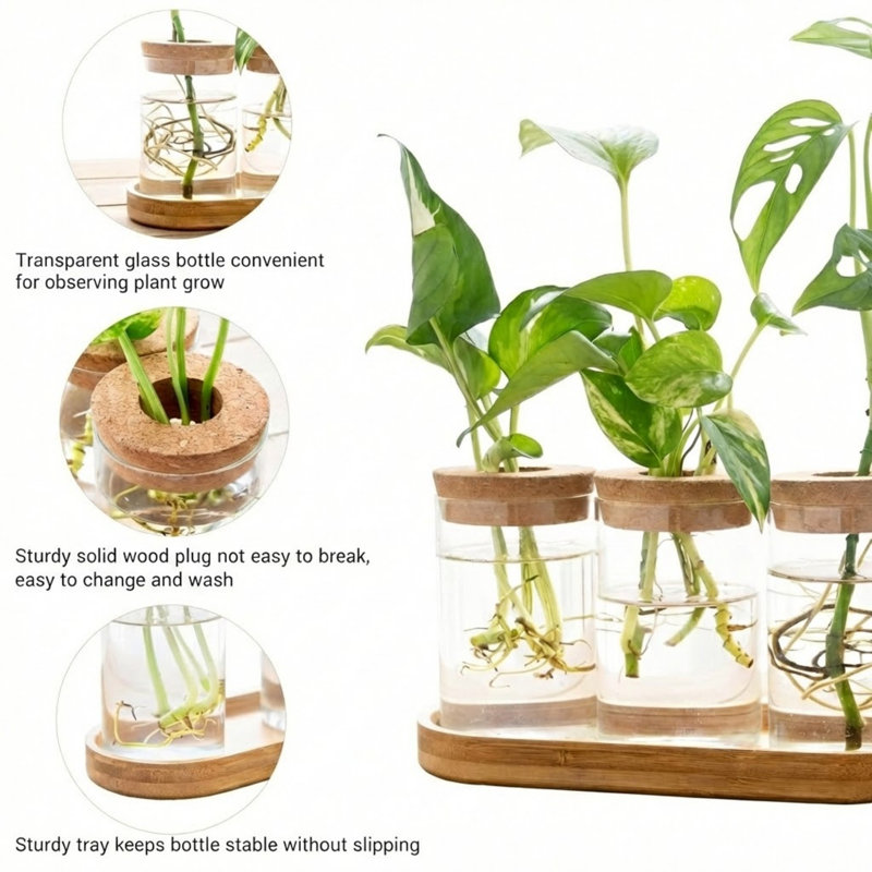 Ensemble de terrarium en verre 3 pièces Modern Minimalist