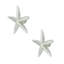 2" Starfish Small Knob-104674675-39948825-126755979