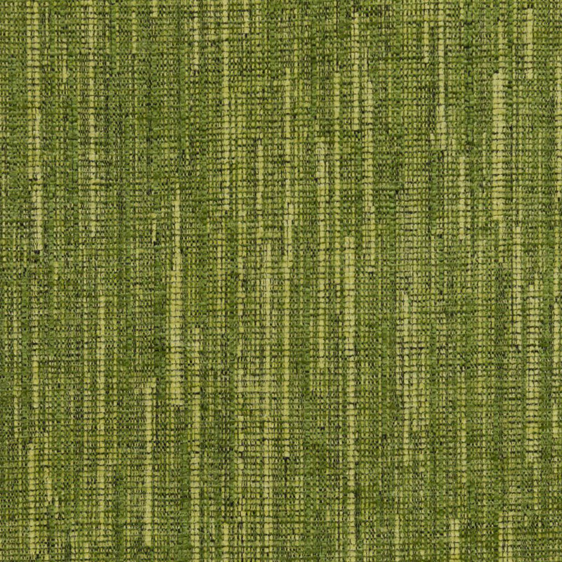 Tissu Rialto, Basilic