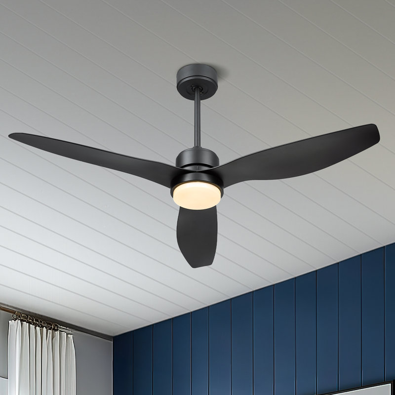 Ashuna 52'' Ceiling Fan with LED Lights