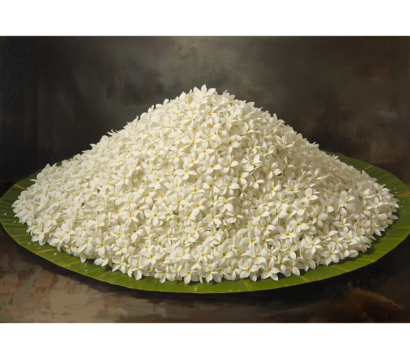 Mogra Abundance