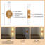 Dantrell Wood LED Wallchiere