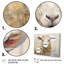Moutons abstraits broutant II-1162440827-1162440830