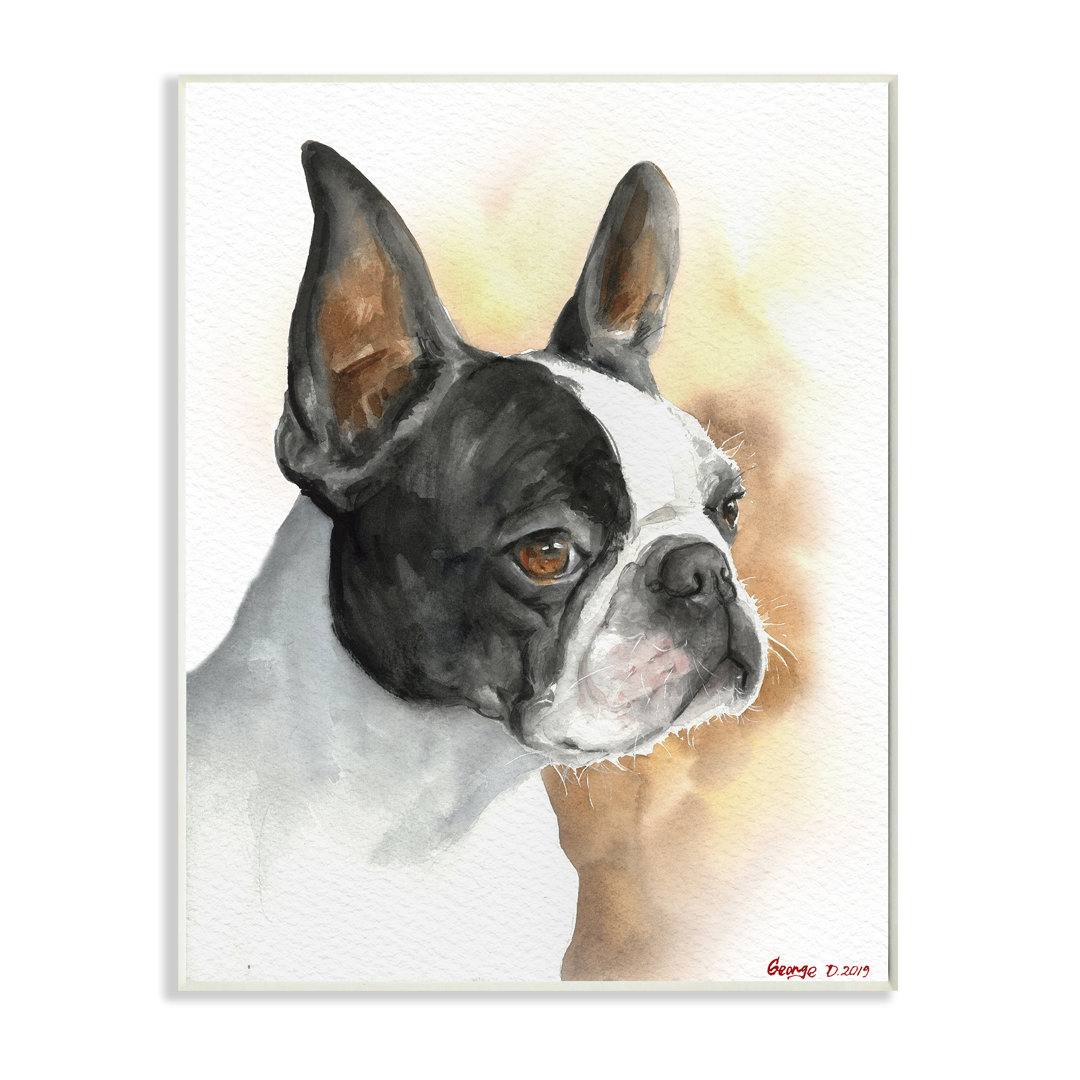 Boston Terrier Pet Dog Portrait Black Brown Winston Porter 