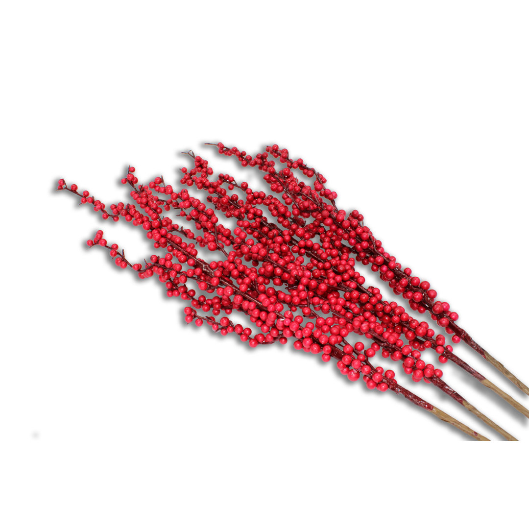 None Arrangement Primrue