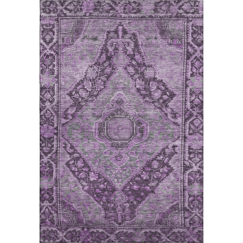 Premium Machine Washable Lucchesi AMF1761 Border Rug, Rectangle 8' x 10'