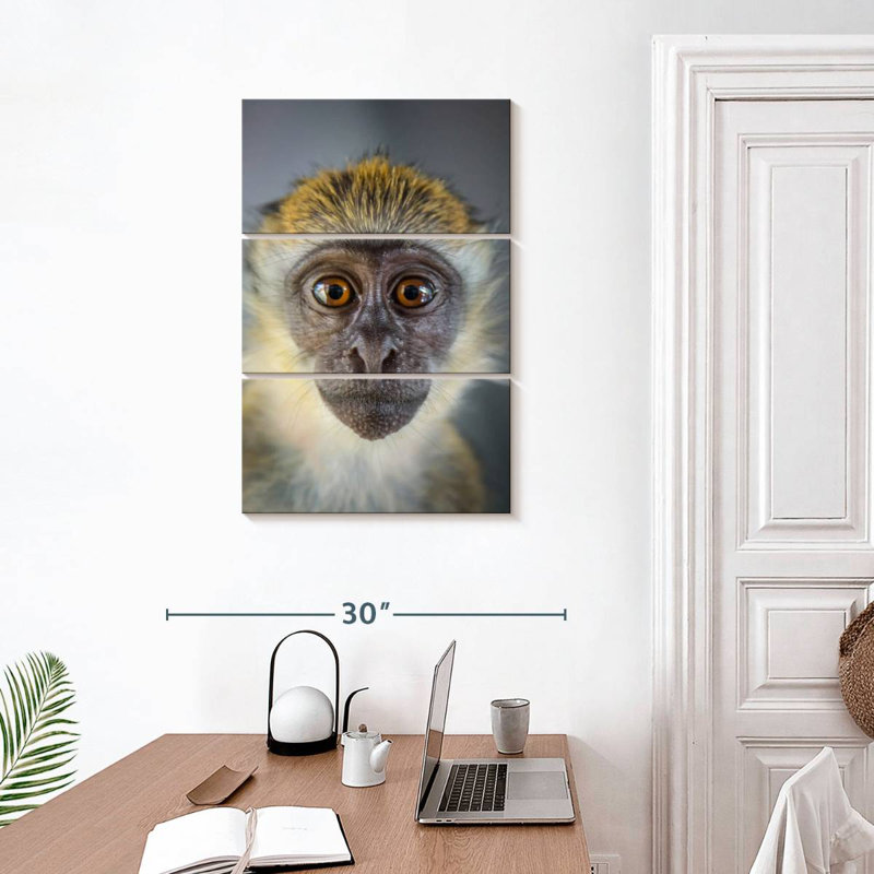 Brampt Vervet Monkey, 32" H x 20" W