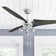 Phelix 56" Ceiling Fan with LED Lights