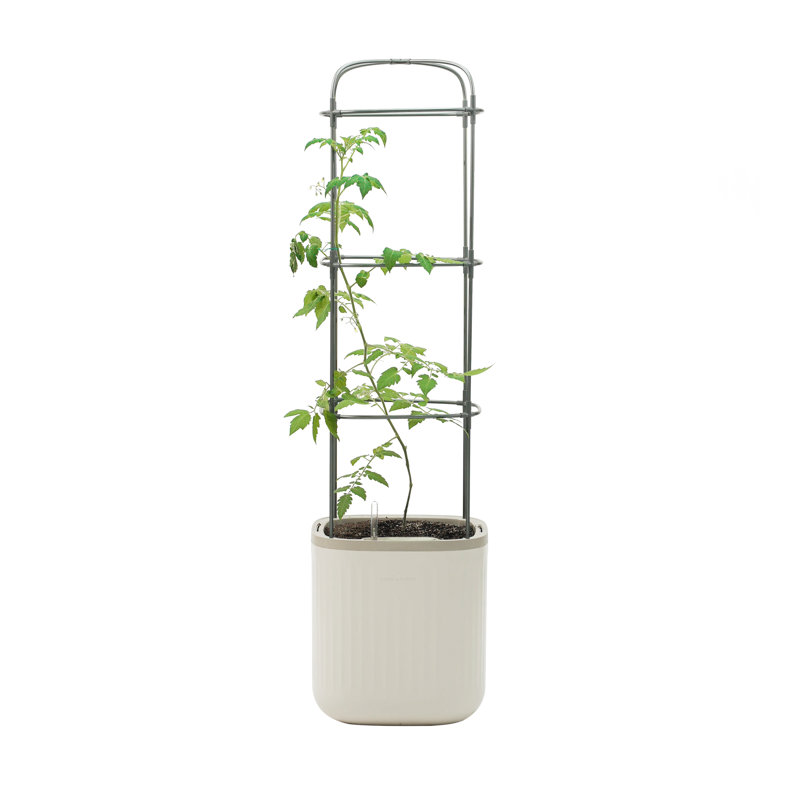 Pot de fleurs d'extérieur en métal avec treillis Tomato, Blanc crème