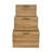 Sable Set of 3 Trunks with Gold Handles-2046904636