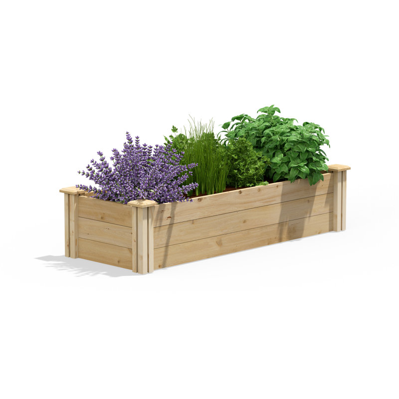 Lit de jardin surélevé en cèdre Original, H 10,5 po x l 48 po x P 16 po