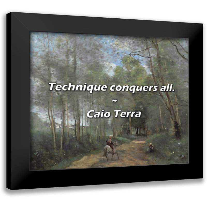 Caio Terra Quote: Technique conquers all.