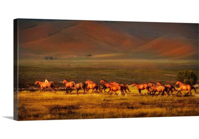Kemani " Montana Dreaming " by Lisa Dearing