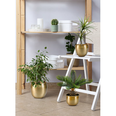 Quanette Metal Pot Planter