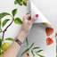 Hollie-Eve 2.5m x 2.5m Matte Peel & Stick Mural-990609048