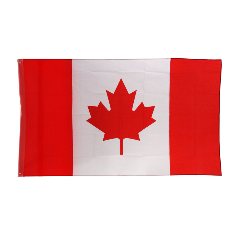 Drapeau de maison 48" x 96" en polyester à 2 côtés