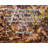 ArtsyQuotes Gallery Wrapped Canvas By Peter Levi: "Sings. Hope in every sphere of life is a privilege that attaches to action. No action, no hope."-844003557