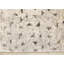 Tapis ivoire à pois mouchetés Katixa-2021757089