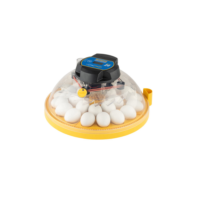 Incubateur 24 œufs de poule