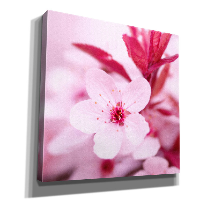 Fleur rose 1 par PhotoINC Studio, H 18 po x l 18 po x P 0,75 po