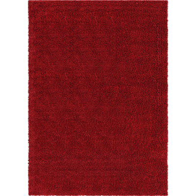 Indoor Rug