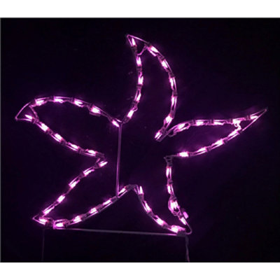 Starfish Outline Nautical Holiday Lighted Display