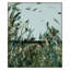 West Wind Moves Print by Frenz, Lesley-1672229916-1672229918