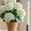 23" Artificial White Potted Hydrangea Plant