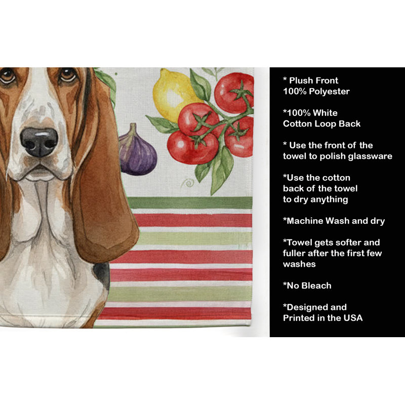 Torchon tricolore et blanc Basset Hound, Tricolor/White Basset Hound
